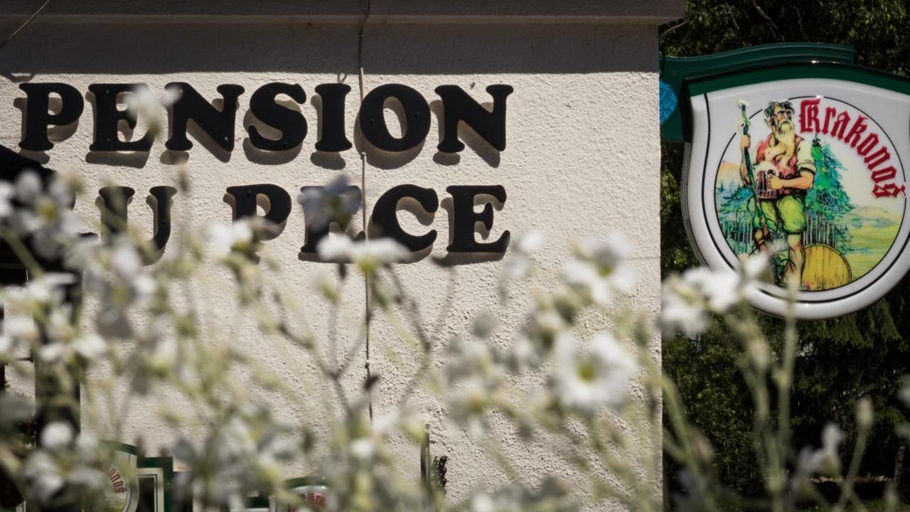 Pension U Pece 派克波特斯耐兹库 外观 照片